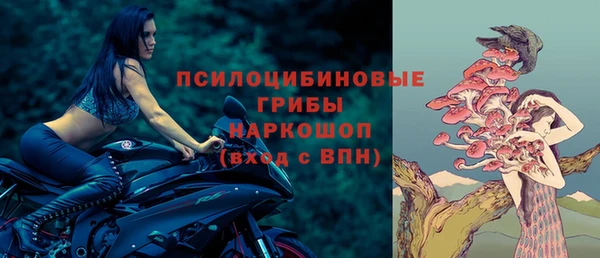 МДПВ Кукмор