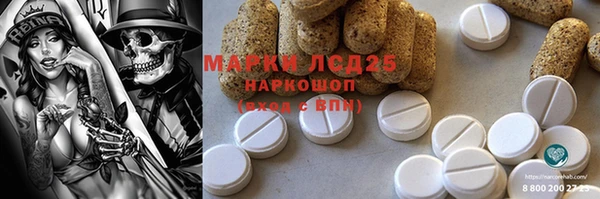 МДПВ Кукмор