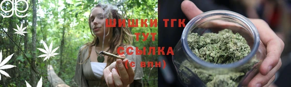 тгк Ладушкин