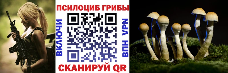 Купить где  Курган  Галлюциногенные грибы MAGIC MUSHROOMS 